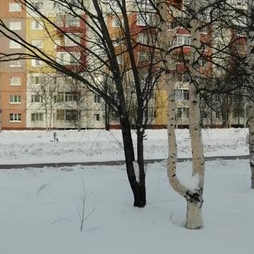 Walk around the city of Neryungri in winter.