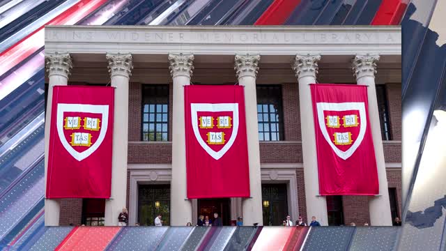 Mammoth Nation Weekly Update - July 4th