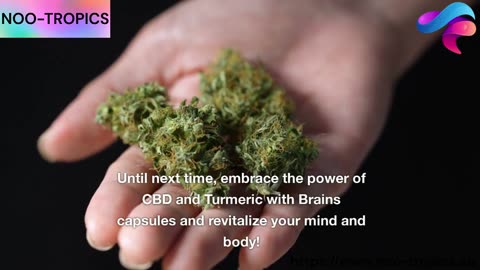 Revitalize Your Well-Being: Brains Pure CBD + Turmeric Capsules - 28 Potent Capsules