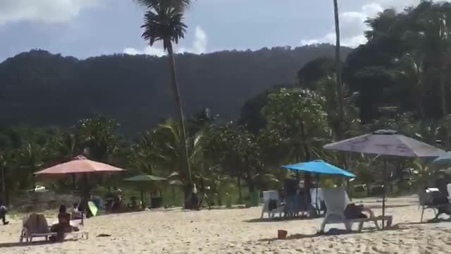 Tropical Beach Maracas In Trinidad