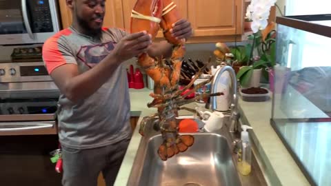 BUYING LIVE PET 15lb LOBSTER ONLINE! *MASSIVE*