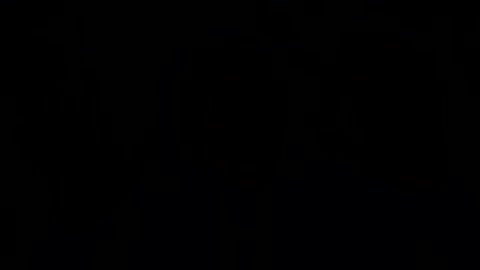 The Truth About Trans-Everything