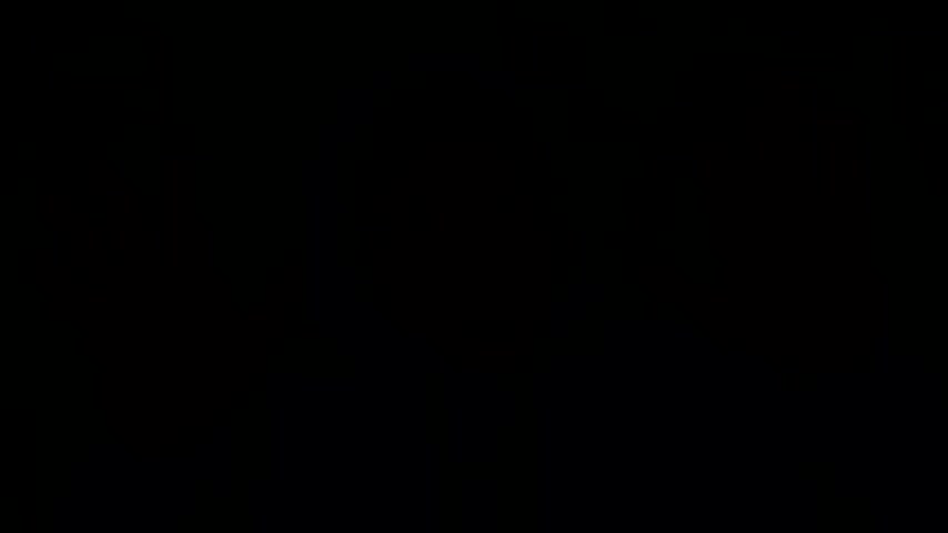 The Truth About Trans-Everything