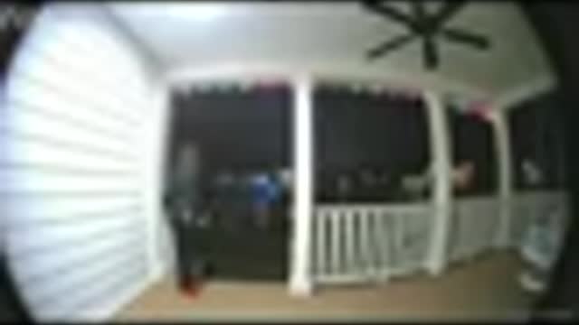 Most funny videos caught on camera SHORTS
