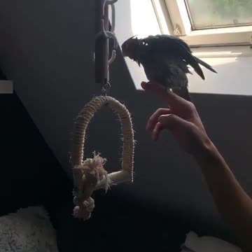 I don’t sing in the shower, i perform