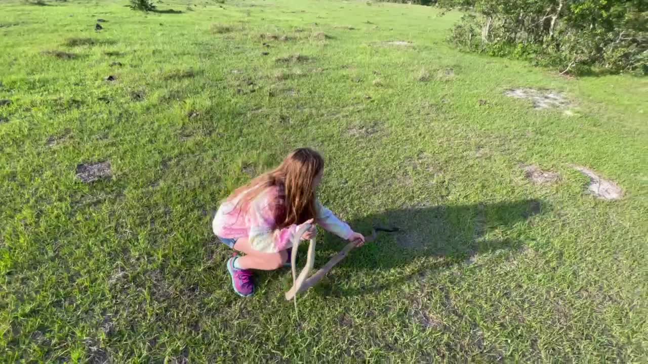 Little girl catches huge coachwhip snake