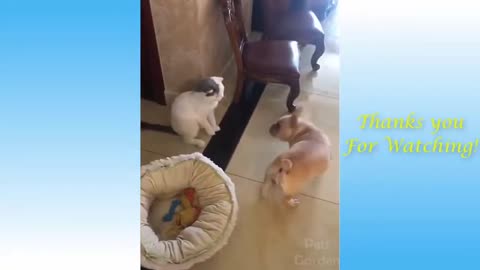 Impossible not to have fun