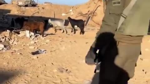 Racist Apartheid Exposed