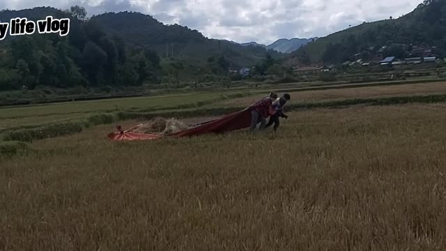 Can't be transported by vehicle, so towing by flap