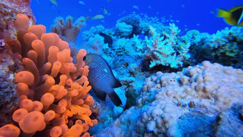 Disciplines for the Inner Life - Week 4 (Discipline) Saturday