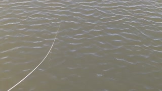 Crabbing in Rockport