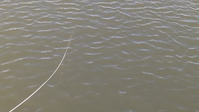 Crabbing in Rockport