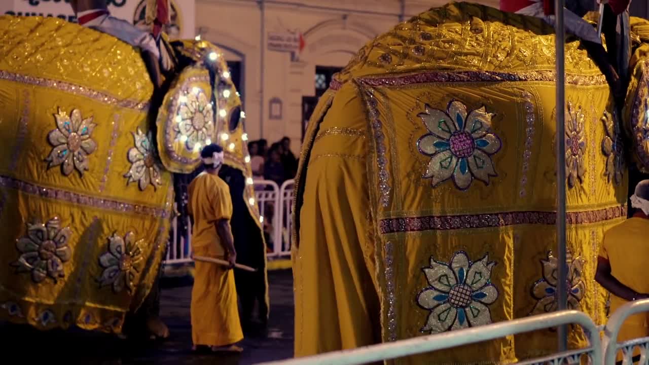 Elephants dressed in shimmering robe taking part in Buddhist ceremony Esala Perahera