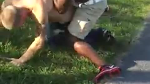Fighting between two grown men