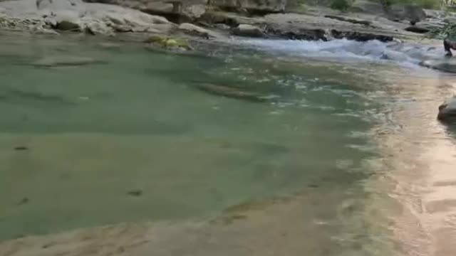 crystal clear lake