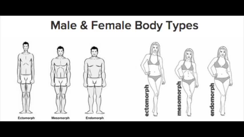 "Transvestigation" Basics: Understanding Fundamental Anatomical Differences
