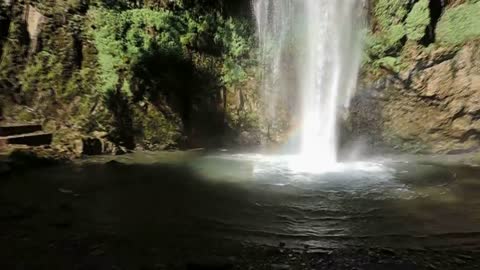 Tiger Falls, Dehradun