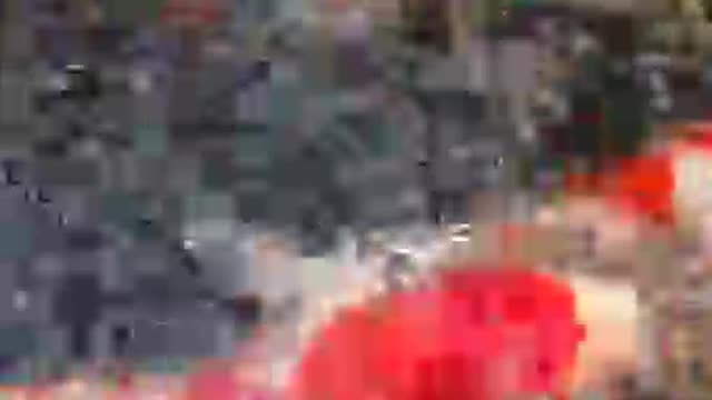 Koi fish pond