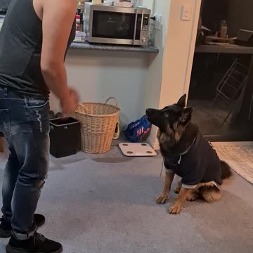Cute puppy dances with her Dad