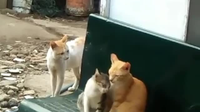 Were Watching You