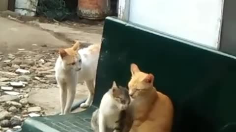 Were Watching You