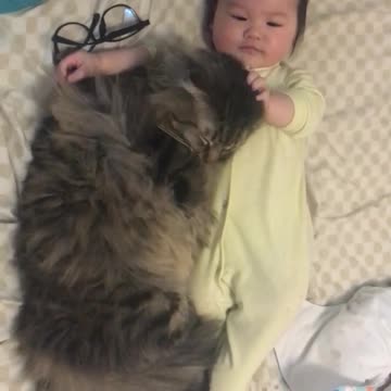 Bebé se acurruca con un amoroso gatito