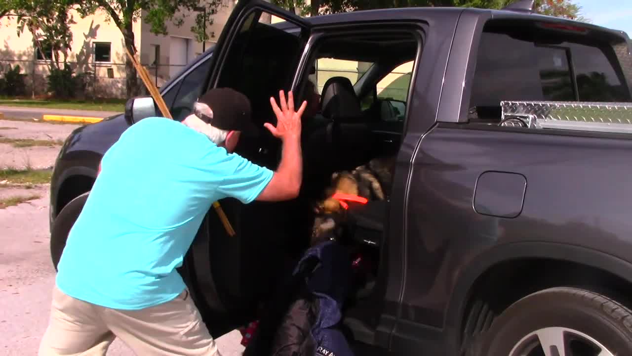 Dangerous German Shepherd protects owner in car - that was a close call!! (Do NOT try this at home!)