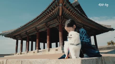 puppies and kittens have a lot of fun recommend to see.
