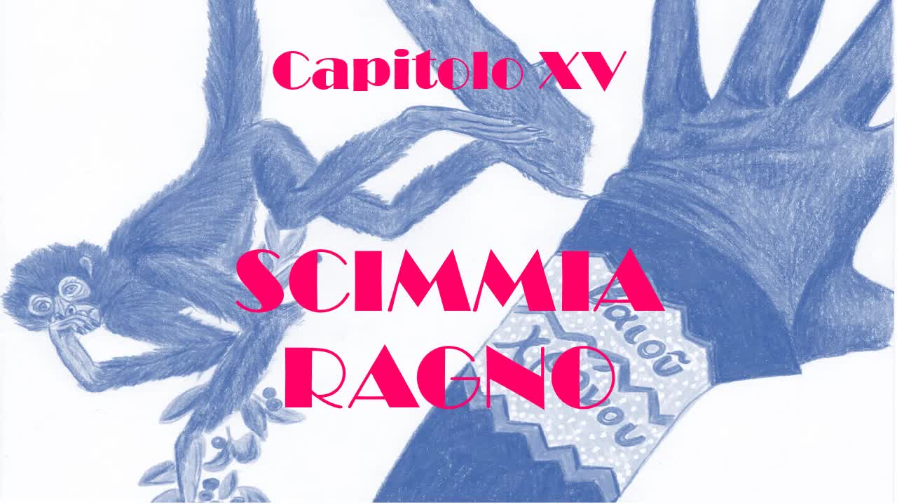 Capitolo XV - Scimmia Ragno