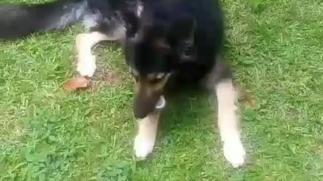With his favourite