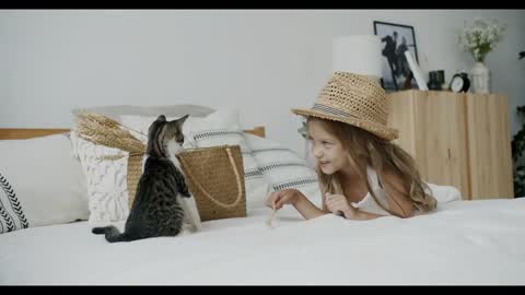 Baby Cats - Cute and Funny Cat Videos Compilation #02 | Go Ga Animals