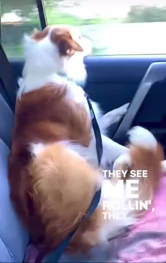 Life is beautiful ❤️