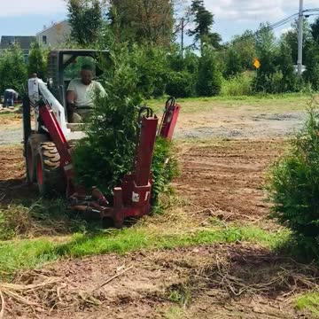 Bobcats at work on our tree farm near Doylestown pa digging trees