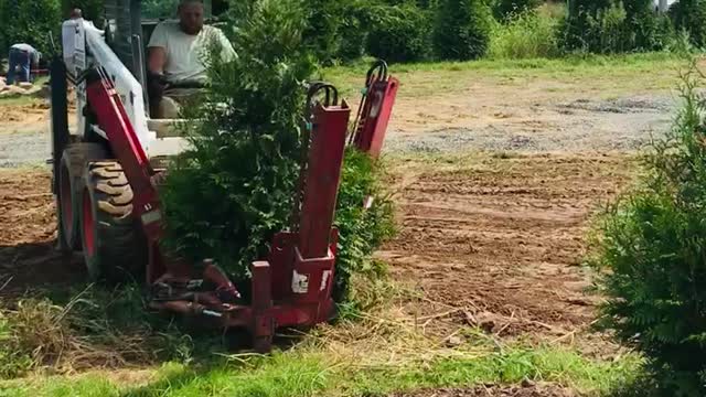 Bobcats at work on our tree farm near Doylestown pa digging trees