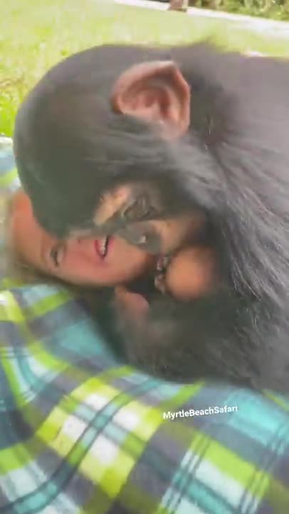 Playful baby monkey hugs kids in park