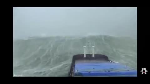 China Plan Leaked.OMG