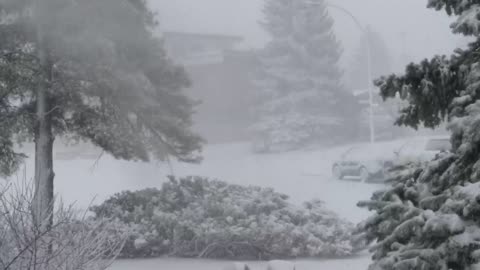 Heavy snowfall in Edmonton Alberta Canada 🇨🇦