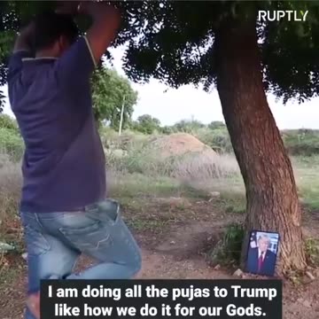 Average Qanon Enjoyer 🤡