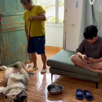 This dog is so helpful!