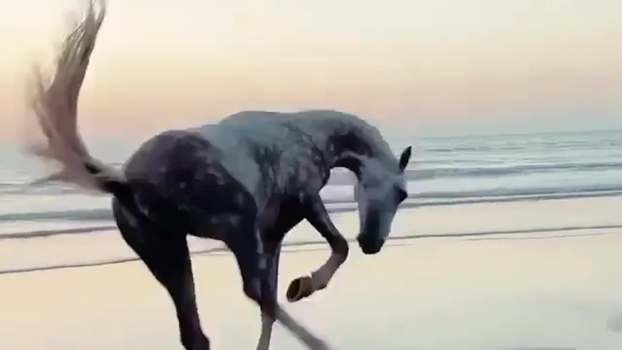 Horse Run Near Ocean