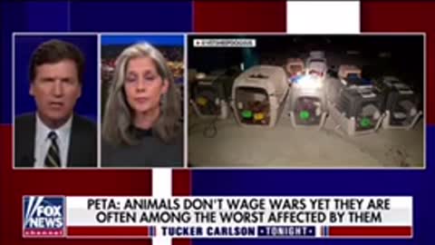 Americans and Afghans left behind