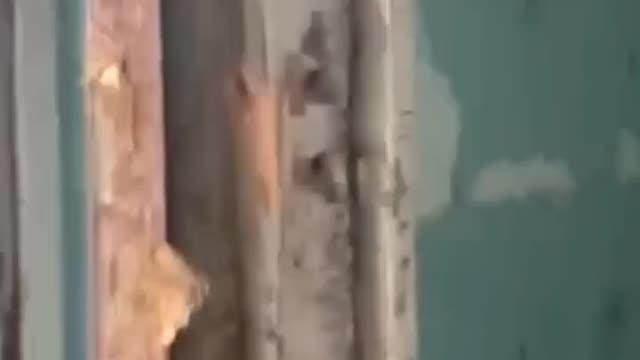 💢 Ukrainians somewhere in Lugansk, fighting out of a school. Using it as a fortification