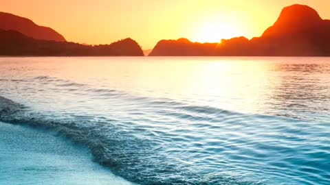 Good music_healing music Summer sound of seagulls.
