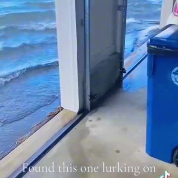 I opened the garage door and saw the ocean