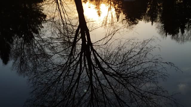 This world is upside down - sunset reflection