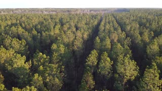 Aerial view CampFussell #2