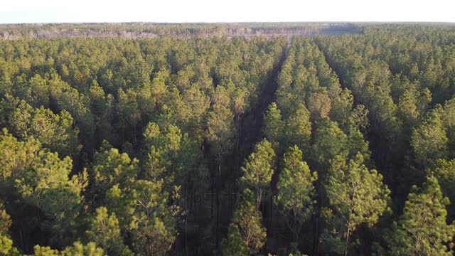 Aerial view CampFussell #2