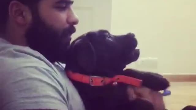 Man in grey makes black dog make weird noise