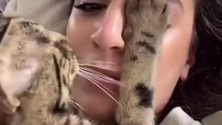 funny cat separation axienty try not to laugh