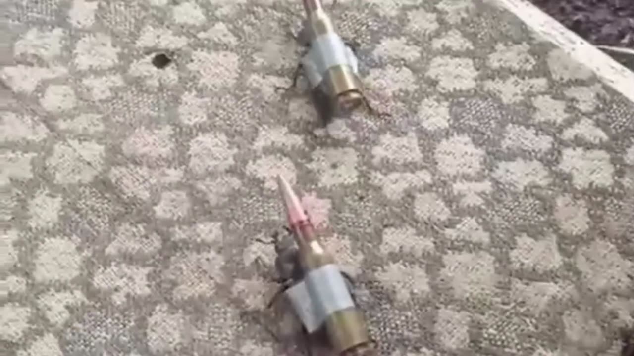 Hard footage of the use of the latest NATO weapons by the Ukranian troops